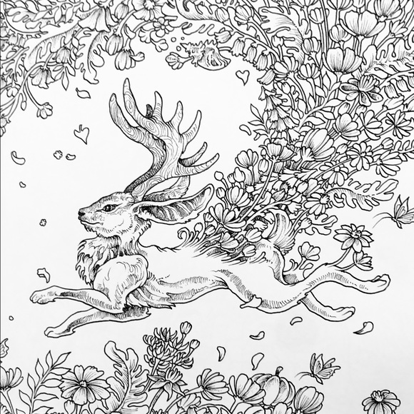 Meet your Posher, Kim - Picture 1 of 1